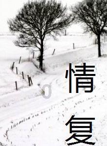 扎实做好“产、城、人”三篇文章　全力打造金沙江畔美丽绥江