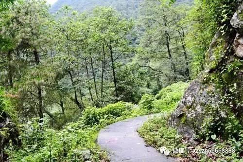 内蒙古自治区巴林右旗发布大风蓝色预警
