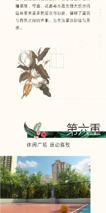 明星三缺一