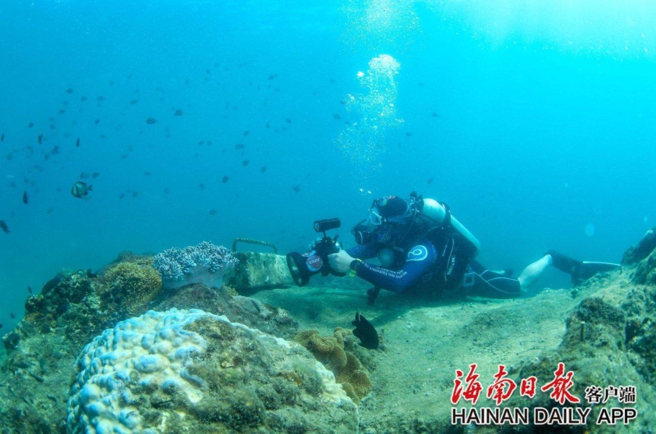 鲜奶运输车找不同